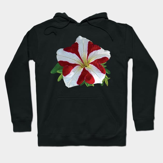 Petunias - Red and White Petunia Hoodie by SusanSavad